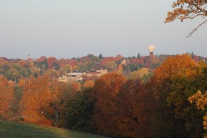 Fall Colors